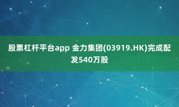 股票杠杆平台app 金力集团(03919.HK)完成配发540万股