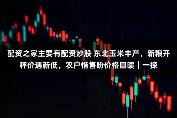 配资之家主要有配资炒股 东北玉米丰产，新粮开秤价遇新低，农户惜售盼价格回暖｜一探