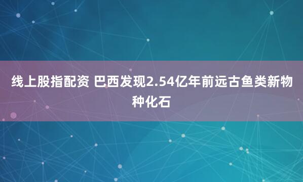 线上股指配资 巴西发现2.54亿年前远古鱼类新物种化石